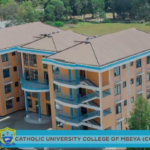 Assistant Human Resource Manager at Catholic University of Mbeya