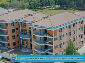 Assistant Human Resource Manager at Catholic University of Mbeya