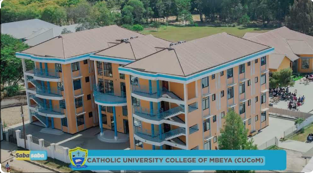 Assistant Human Resource Manager at Catholic University of Mbeya